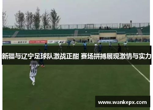 新疆与辽宁足球队激战正酣 赛场拼搏展现激情与实力